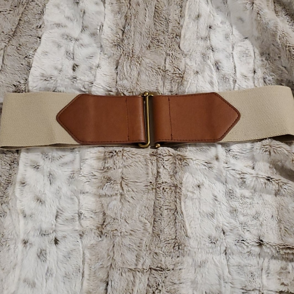 NWT Express stretchy belt